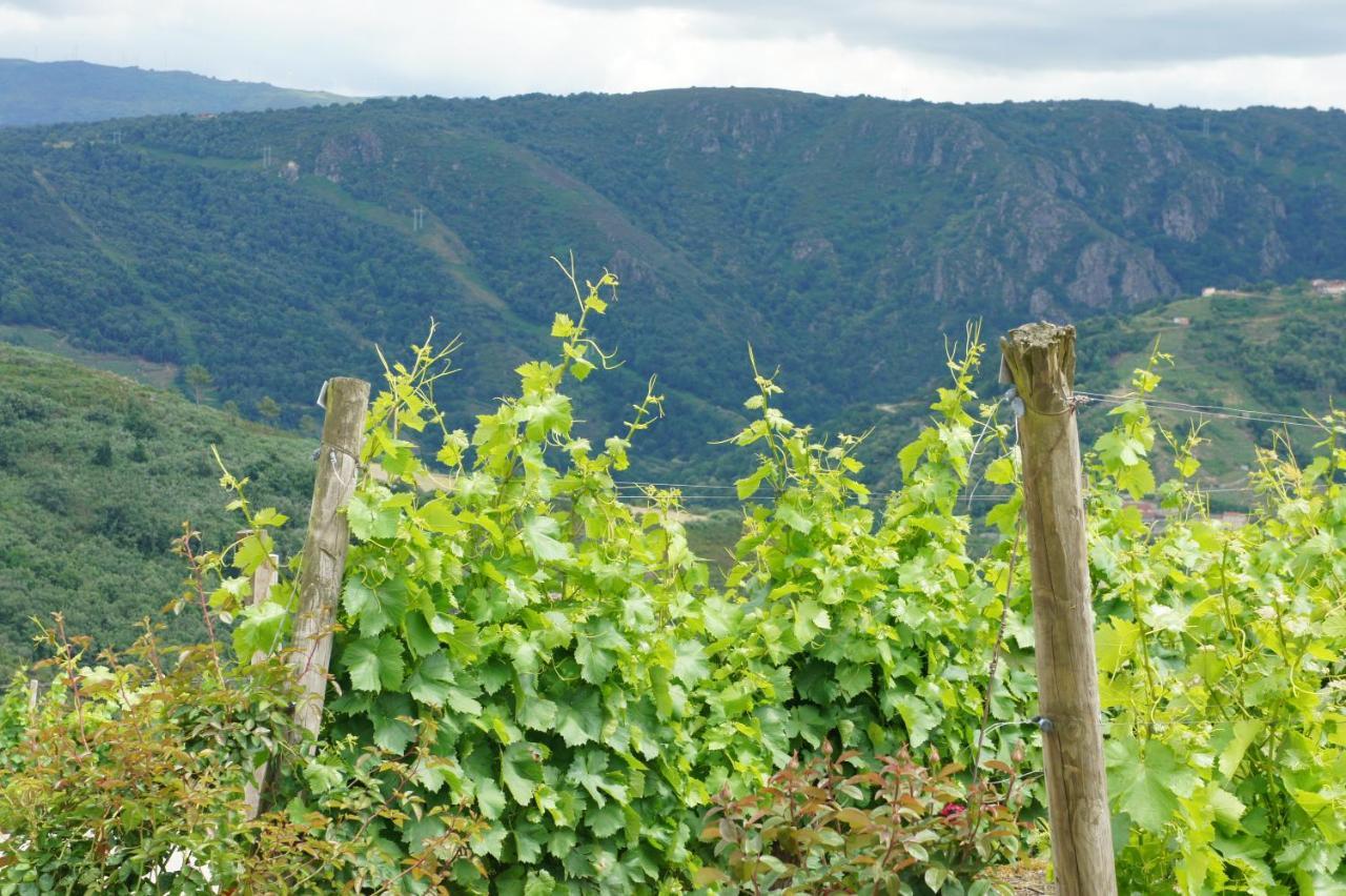 Апартаменты O Forno Casa Ferrador Ribeira Sacra Собер Экстерьер фото